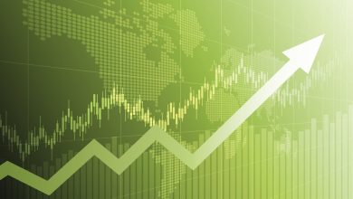 The Best Vanguard ETF to Buy and Hold for the Next Decade (It Has Significant AI Exposure)