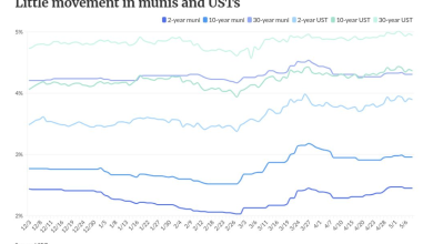Munis steady, USTs largely ignore jobs report