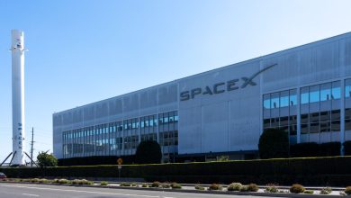 xAI Pursues Finance Sector Growth Before SpaceX IPO