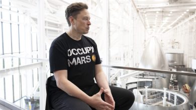 SpaceX IPO is Musk ‘referendum,’ say market watchers SpaceX IPO is Musk ‘referendum,’ say market watchers