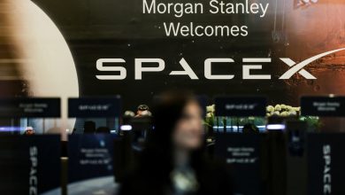 SpaceX IPO could be coming for the Magnificent Seven and chip stocks SpaceX IPO could be coming for the Magnificent Seven and chip stocks