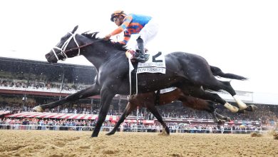 Golden Tempo wins the 158th Belmont Stakes