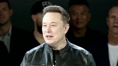 SpaceX bulls are back betting on huge, fast gains as Rocket Lab surges
