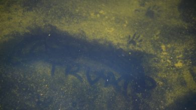 Trump tries to blame Reflecting Pool woes on vandalism Trump tries to blame Reflecting Pool woes on vandalism