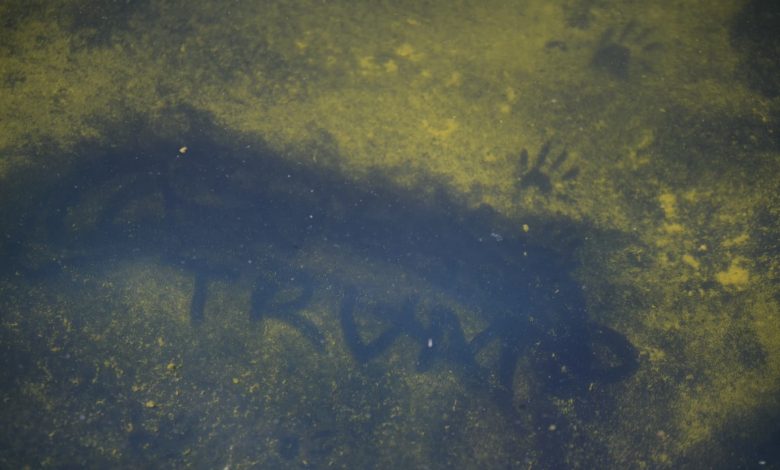 Trump tries to blame Reflecting Pool woes on vandalism Trump tries to blame Reflecting Pool woes on vandalism