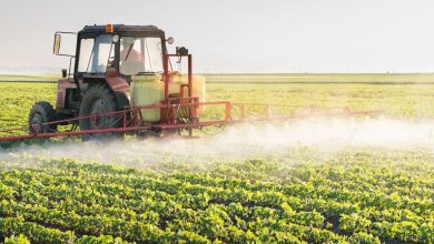 Atlas Salt Insider Buyers Net CA8k Despite 13% Stock Decline