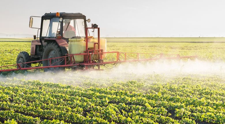 Atlas Salt Insider Buyers Net CA8k Despite 13% Stock Decline