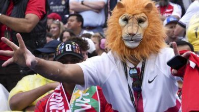 Municipal Bond Market Supports U.S. World Cup Infrastructure Municipal Bond Market Supports U.S. World Cup Infrastructure