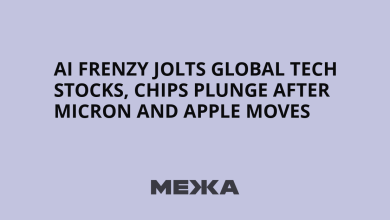 AI frenzy jolts global tech stocks, chips plunge after Micron and Apple moves | Ukraine news