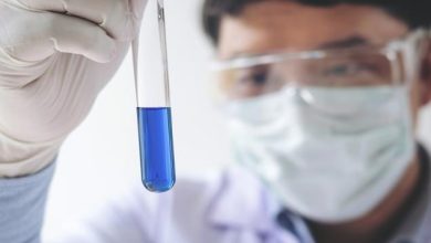 AbbVie and Merck Face-Off: Which Pharma Stock Has the Lead? – June 22, 2026 AbbVie and Merck Face-Off: Which Pharma Stock Has the Lead? – June 22, 2026