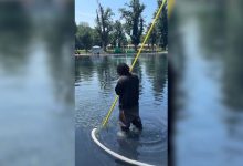 ‘Residual algae’ coats part of newly opened Reflecting Pool