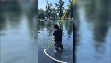 ‘Residual algae’ coats part of newly opened Reflecting Pool