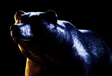 Higher Interest Rates May Be Coming. Here’s Why That’s Bearish for Crypto.
