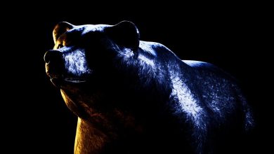 Higher Interest Rates May Be Coming. Here’s Why That’s Bearish for Crypto.