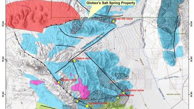 Globex Discovers Wide Gold Zones at the Salt Spring Project in Arizona