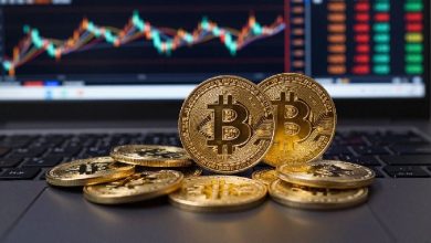 How to Survive Crypto Crashes with Dollar Cost Averaging and Invest for the Long Term
