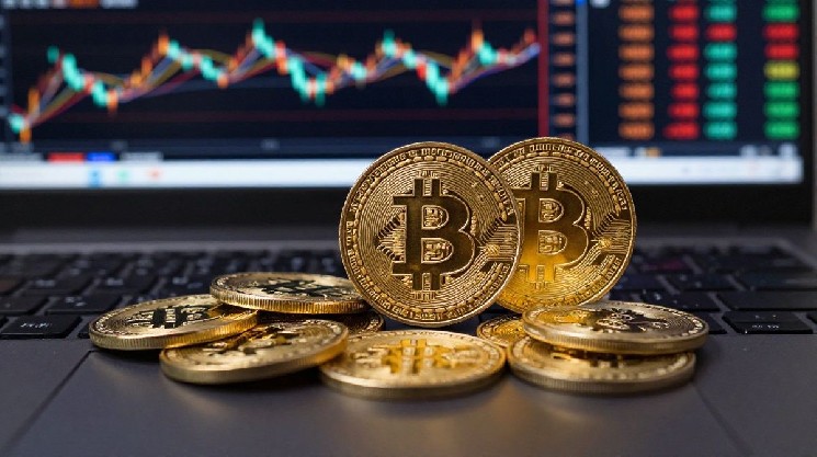 How to Survive Crypto Crashes with Dollar Cost Averaging and Invest for the Long Term How to Survive Crypto Crashes with Dollar Cost Averaging and Invest for the Long Term