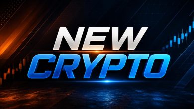 Ethereum Based Crypto Pepeto Approaches Binance