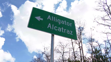 Lt. Governor responds to Alligator Alcatraz closure reports | Politics