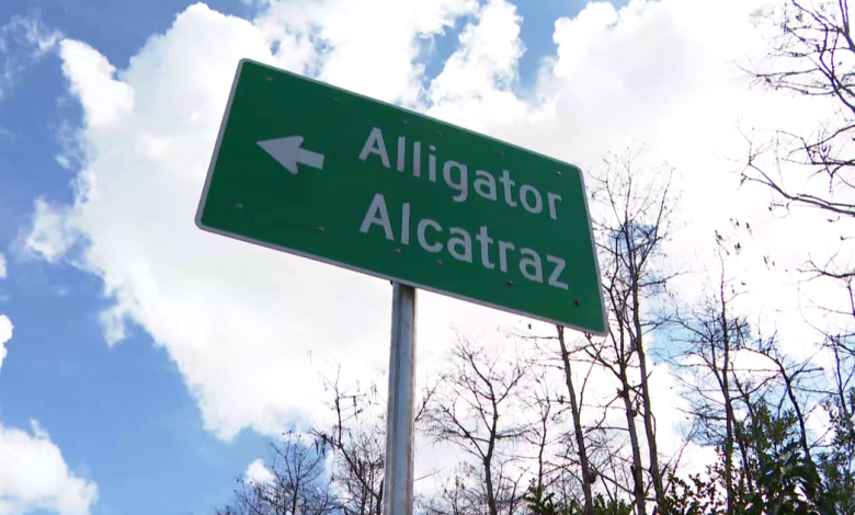 Lt. Governor responds to Alligator Alcatraz closure reports | Politics