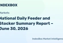 USDA Feeder Cattle Market Report: Prices, Futures, and Slaughter Data for June 30, 2026 – News and Statistics