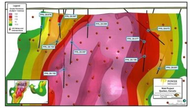 Lion Delivers High-Grade Copper Intercepts and Positive Metallurgy on Low-Low Grade Mineralization