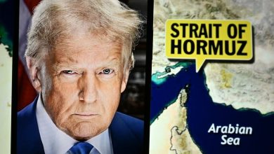 Trump’s Iran Peace Deal Could Ignite A ‘Relief Rally,’ Says Ben Emons, Flags 4 ‘Cheap’ Stocks Beyond Tech
