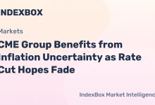 CME Group Stock Gains from Inflation-Driven Futures Trading Surge – News and Statistics