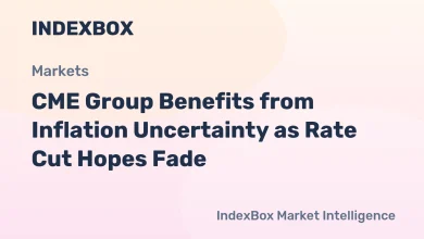 CME Group Stock Gains from Inflation-Driven Futures Trading Surge – News and Statistics CME Group Stock Gains from Inflation-Driven Futures Trading Surge – News and Statistics