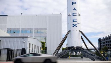 SpaceX Seeks 5 a Share for  Billion IPO, Reuters Says