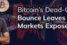 Bitcoin’s dead-cat bounce leaves crypto markets exposed