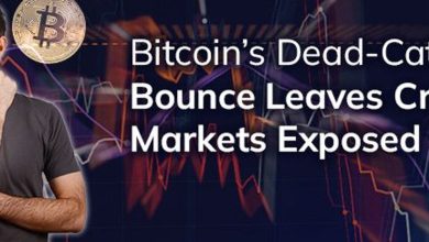 Bitcoin’s dead-cat bounce leaves crypto markets exposed Bitcoin’s dead-cat bounce leaves crypto markets exposed