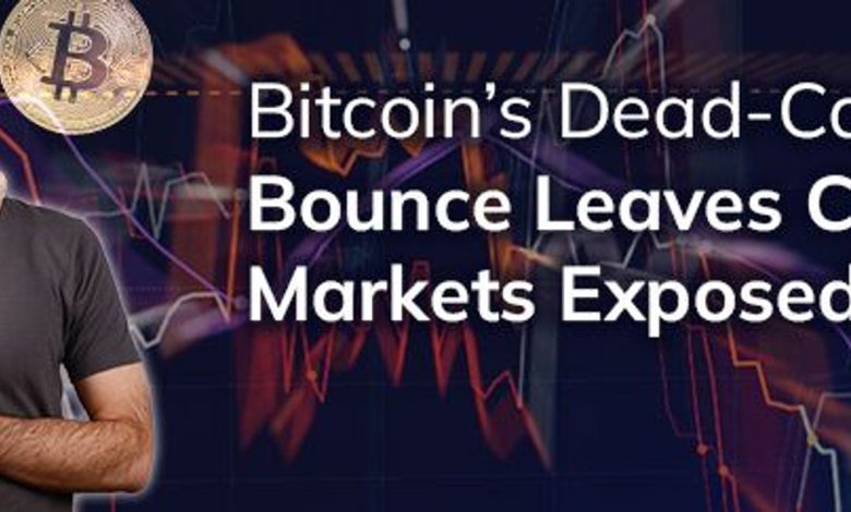 Bitcoin’s dead-cat bounce leaves crypto markets exposed