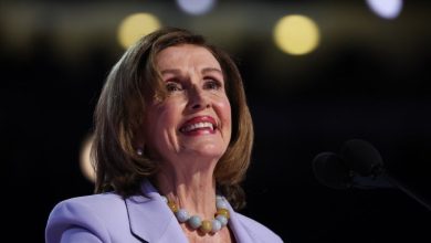 Nancy Pelosi to help create institute for future leaders
