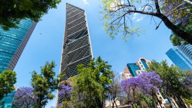 Mexico Sustainable Debt Issuance Falls for First Time in Decade