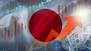 After Reviewing Every International Developed Market ETF These 3 Cover Japan and Europe Better Than Anything Else After Reviewing Every International Developed Market ETF These 3 Cover Japan and Europe Better Than Anything Else