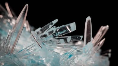 Terra Critical Minerals (ASX:T92) confirms 2.9% tin and 106g/t indium at Tamworth Terra Critical Minerals (ASX:T92) confirms 2.9% tin and 106g/t indium at Tamworth