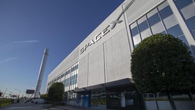 SpaceX bankers kick off marketing for bond sale SpaceX bankers kick off marketing for bond sale