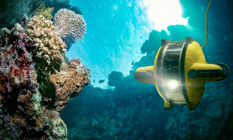 This Ocean Mining Stock Just Got a Green Light From NOAA. Is it a Buy? This Ocean Mining Stock Just Got a Green Light From NOAA. Is it a Buy?