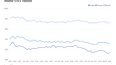 Munis cheapen as USTs show slight rebound