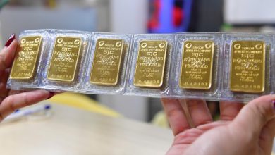 Gold prices rally – VnExpress International Gold prices rally – VnExpress International