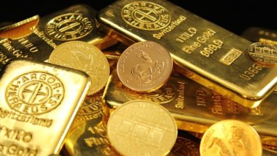 Canary Gold Advances Madeira River Paleochannel Exploration Amid Rising Gold Market Interest Canary Gold Advances Madeira River Paleochannel Exploration Amid Rising Gold Market Interest