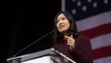 Payback politics? Wu backs challengers to state senators who blocked her tax plan