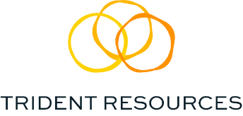 Trident Announces Grant of Options and DSUs