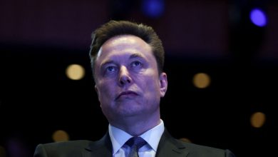 Elon Musk ETFs highlight Korea and U.S. split in latest fund boom