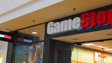 GameStop (GME) Stock Looks Below Fair Value On Current Earnings
