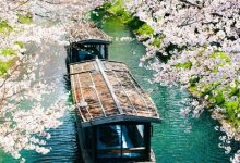 SBI Holdings partners with Solana to create Japan’s first crypto financial market SBI Holdings partners with Solana to create Japan’s first crypto financial market
