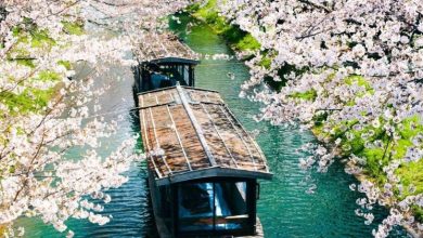 SBI Holdings partners with Solana to create Japan’s first crypto financial market SBI Holdings partners with Solana to create Japan’s first crypto financial market