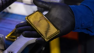 Gold trades near two-week high on cooling US rate-hike bets