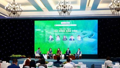 Reshaping capital flows to unlock Vietnam”s next growth engine